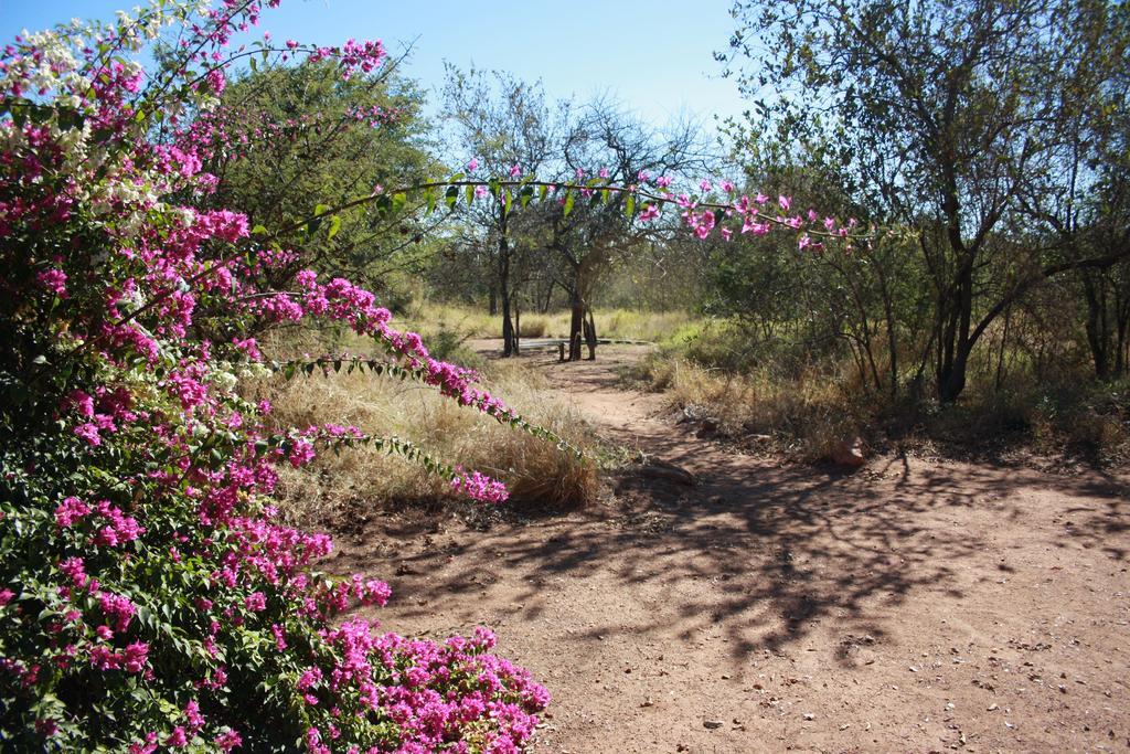 Normann Safari Bush Lodge Палаборва Екстериор снимка